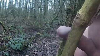 Forest Handjob