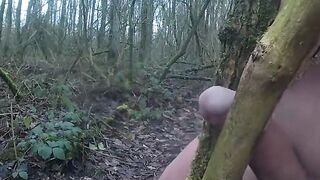 Forest Handjob