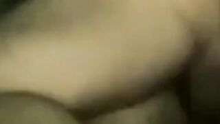 Amateur Breeding for the Bottom