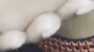 Indian Parosan Girl With Boy On Money Sex