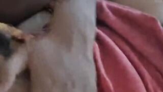 Desi Homemade Bhabhi Sex With Husband