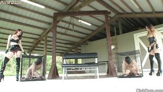 Kendra and Alexa's Caning and Strap-On