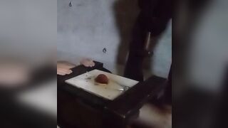 Miss Kitty tramples balls