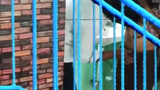 Indian School Girl Fucked By Classmate Boy