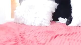Amateur Molly Bloom Pleasures Herself Solo 2