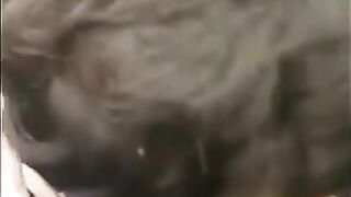 Twink Sucks Big Cock Outdoors and Swallows Cum