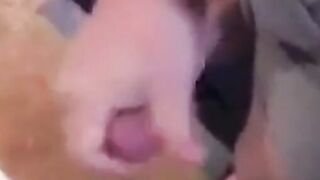 Big-cock amateur gets a blowjob from his buddy and cums hard