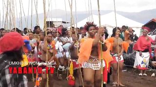 Long Titties topless South Black Zulu girls during Reed Rance