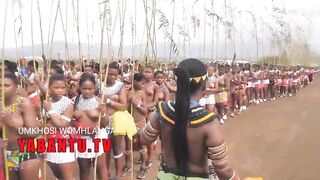 Long Titties topless South Black Zulu girls during Reed Rance
