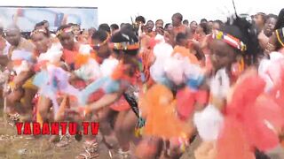 Long Titties topless South Black Zulu girls during Reed Rance
