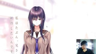 【galgame恋爱冒险游戏】アマカノ２绍介