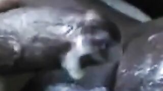 Homeless Blowjob for Interracial Amateur