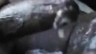 Homeless Blowjob for Interracial Amateur