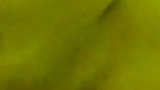 Homemade Video of a Mature Asian Couple