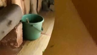 Starting Beauty Into The Sauna - Lolipop Mark Pirson