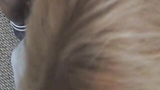JennyJizz: Blowjob Queen's Handjob Heaven