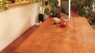 Pierced Cutie gets screwed