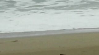 babe bitch gets arse screwed by the beach