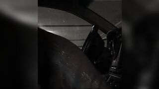 Cassandra Parson fellatio Into Van