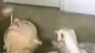 Wife sucking and enjoying a big black cock