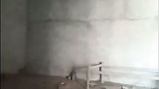 Lankan girl Shows her Boobs and pussy Fucking