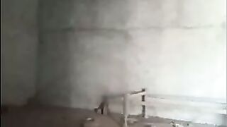 Lankan girl Shows her Boobs and pussy Fucking