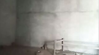 Lankan girl Shows her Boobs and pussy Fucking