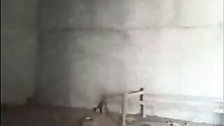 Lankan girl Shows her Boobs and pussy Fucking