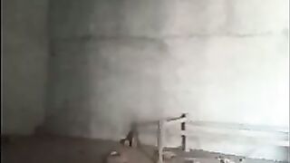 Lankan girl Shows her Boobs and pussy Fucking