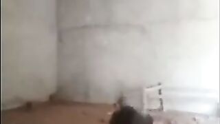 Indian Shy Girl Fucking