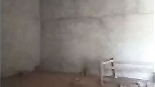 Indian Shy Girl Fucking