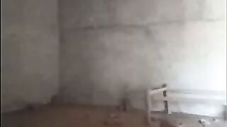 Indian Shy Girl Fucking