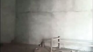 Horny Indian Girl Fucking Part 2