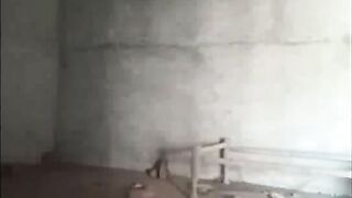 Indian Cpl Romance and Boobs Sucking 2
