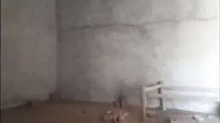Indian Wife Blowjob and Ridding Fucking