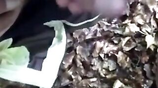 Outdoor Blowjob und Handjob für Schwule Amateure