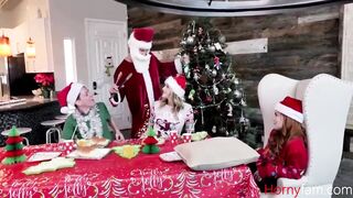 The Christmas Lunch With Family- Charlotte Sins, Summer Hart