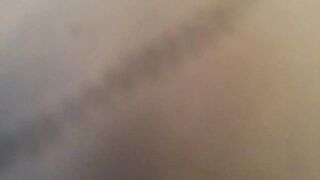 Bunnyandaz Compilation one