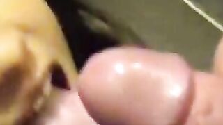 Öffentlicher Blowjob in der Umkleidekabine eines Einkaufszentrums - Schweiz