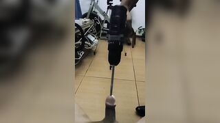 un tip brunet  e ejaguleaja sperma cu bor masina lui moisa a boy says to Moise Robert