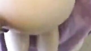 Amateur Anal MILF's Blowjob Video
