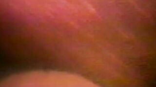 Vintage babe Seka doggystyle fucked after eating warm cum