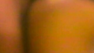 Vintage babe Seka doggystyle fucked after eating warm cum