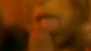 Vintage babe Seka doggystyle fucked after eating warm cum
