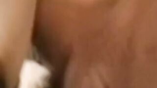 Cute Asian babe Tina Tai orally pleasured before hard fuck