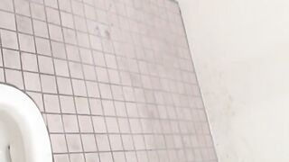 Hot Asian hairy pussies filmed by hidden camera while peeing