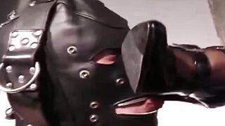 Lick My Spit