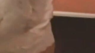 Stunning bride determines sexuality after pussy hammering