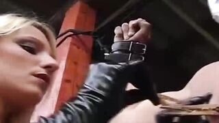 Tormented On The Farm