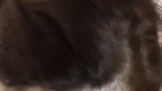 UK MILF beauty Lara fucked doggystyle for cum in mouth